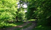 Trail Walking Trosly-Breuil - en forêt de Compiègne_28_les Tournantes sur le Mont Saint-Mard et sur le Mont Collet - Photo 4