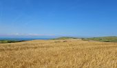 Trail Walking Escalles - ⛺️ Les Érables - Cap Blanc-Nez  - Photo 2