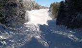 Trail Snowshoes Valserhône - col de Cuvery - Photo 2