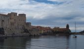 Tour Wandern Port-Vendres - sentier du littoral Catalan - Photo 7