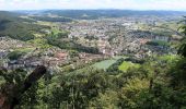 Tour Zu Fuß Wangen bei Olten - Wangen bei Olten - Born - Photo 10