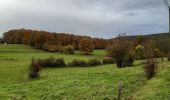 Tocht Stappen Durbuy - aisne . pont le prêtre  . villers sainte gertrude  - Photo 2