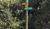 Tour Wandern Aspères - aspere - Photo 10