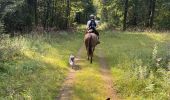 Trail Horseback riding Habay - Tucker avec les dadous 1ère fois - Photo 2