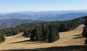 Trail Walking Beaumont-du-Ventoux - ventoux par les cretes - Photo 2