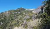 Tocht Stappen Vernazza - RA 2019 Cinque Terre Corniglia Vernazza - Photo 5