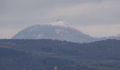 Tocht Stappen Les Martres-de-Veyre - les Martres De Veyre - Photo 8