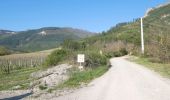 Trail Walking Die - Ausson - Montagne de Gavet (Diois) - Photo 2