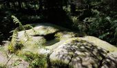 Trail Walking Vexaincourt - Vexaincourt - lac et chapelle de la Maix - Photo 20