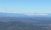 Tour Wandern Plan-d'Aups-Sainte-Baume - Les béguines ste beaume Martine - Photo 13