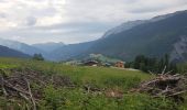 Trail Walking Les Villards-sur-Thônes - Beauregard -Le Grand Bornand - Photo 3