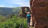 Trail Walking Niedersteinbach - Froensbourg - Photo 8