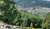 Trail Walking Le Tholy - sentier du blaireau jusqu'en Ecosse - Photo 7