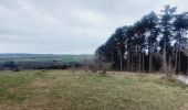 Randonnée Marche Durbuy - Barvaux Mon pelé  - Photo 5