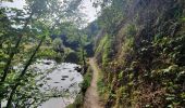 Tocht Stappen Bouillon - rando rochehaut 8/09/2020 - Photo 14