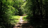 Trail Walking Saint-Crépin-aux-Bois - en forêt de Laigue_3_07_2019_La Malmère_Les Croisettes_Monts du Rond Buisson et des Châtillons - Photo 19