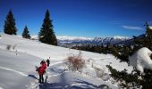 Randonnée Raquettes à neige Selonnet - Crète des melezes - Photo 3