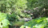 Percorso A piedi Stadtsteinach - Steinachklamm-Weg KU 52 - Photo 4