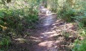 Trail Walking Rion-des-Landes - 80 8 2021  - Photo 1