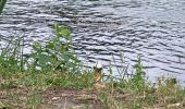 Randonnée Marche Vulaines-sur-Seine - De Vulaines sur seine à Livry sur Seine - Photo 8