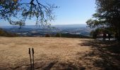 Trail Walking Saint-Léger-sous-Beuvray - 190920-Morvan-3 - Photo 8