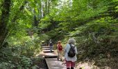 Trail Walking Dilbeek - #230714 - Dilbeek, Kattenberg, Rés. Nat. Wolfsputten - Photo 4
