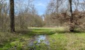 Trail Walking Compiègne - en forêt de Compiègne_48_sur les Routes de la Mariolle et du Grand Veneur - Photo 2