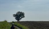 Tocht Stappen Genepiën - Autour de Baisy Thy - Photo 4