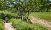 Excursión Bici eléctrica Ronse - Renaix - bois Louise Marie - par sentiers - Photo 4