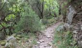 Trail Walking Colombières-sur-Orb - les georges de la colombiere circuit non ordinaire - Photo 15