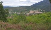 Tocht Stappen Vernet-les-Bains - Sahorre dolmen - Photo 14