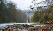 Tour Wandern Herbeumont - RB-Lu-23_Herbeumont_via-racc-2 - Photo 5