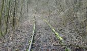 Tour Zu Fuß Lauffen am Neckar - Panoramaweg Hölderlin und Wein (RWW1) - Photo 8