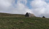 Randonnée Marche Nasbinals - Nasbinal St Chély d'Aubrac - Photo 20