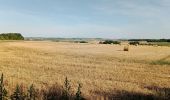 Tour Wandern Coincy - Coincy Tour Wandern Coincy - Coincy