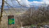 Tocht Stappen Aix-les-Bains - MONT DE CORSUET: FORET DE CORSUET - GROTTE DES FEES - Photo 2