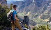 Trail Walking Saint-Julien-en-Vercors - Pas des Voutes-Pas de l'Allier depuis St Julien en Vercors - Photo 8