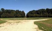 Tour Zu Fuß Villers-Cotterêts - le GR11A  dans la Forêt de Retz  - Photo 11