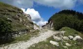 Percorso A piedi Magasa - Passo della Puria, Monte Caplone, incr. 444 - Photo 10