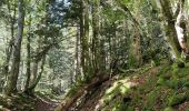 Tour Wandern Le Bessat - Croix de Chaubouret - Crêt de Botte - Col de l'Oeuillon  - Photo 5