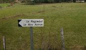 Tocht Auto Peyre en Aubrac - javols  - Photo 14