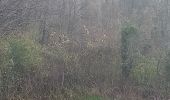 Randonnée Marche Montigny-lès-Arsures - Montigny les Arsures - Photo 20