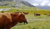 Excursión Senderismo Tignes - Réserve naturelle de la Grande Sassière - Photo 8