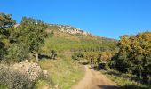 Trail Walking Cuers - Sous les barres de Cuers en partant de La Foux - Photo 2