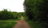 Trail Walking Coyolles - en forêt de Retz_78_les rayons du Rond Capitaine - Photo 12