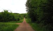 Tour Wandern Coyolles - en forêt de Retz_78_les rayons du Rond Capitaine - Photo 12