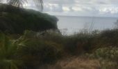 Trail Nordic walking Sainte-Anne - Fond grand ma  modette le littoral  - Photo 8