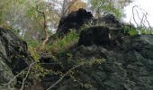 Excursión Senderismo La Roche-en-Ardenne - La roche dans tous les sens - Photo 2