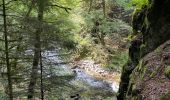 Randonnée Marche Thiéfosse - Gorges de crosery  - Photo 8