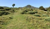 Excursión Senderismo Lavigerie - Les fours de Peter Arse - Photo 2